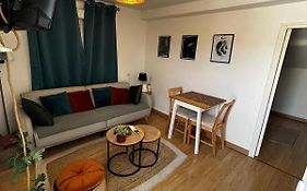 Appartement Avec Terrasse - Goupama Stadium, Eurexpo, Ldlc Arena, La Soie